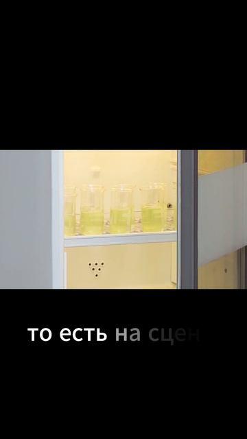 Фрагмент доклада Ермакова А.Е. - ген. директора ООО "Европолитест" ну курсах ЛЭТАП в МГУ.