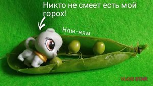 LPS закулисье "Горох"