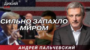 Трамп, Путин, Зеленский: Понеслась! Андрей Пальчевский.