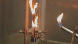 ЕЛОЧНЫЕ ГИРЛЯНДЫ.