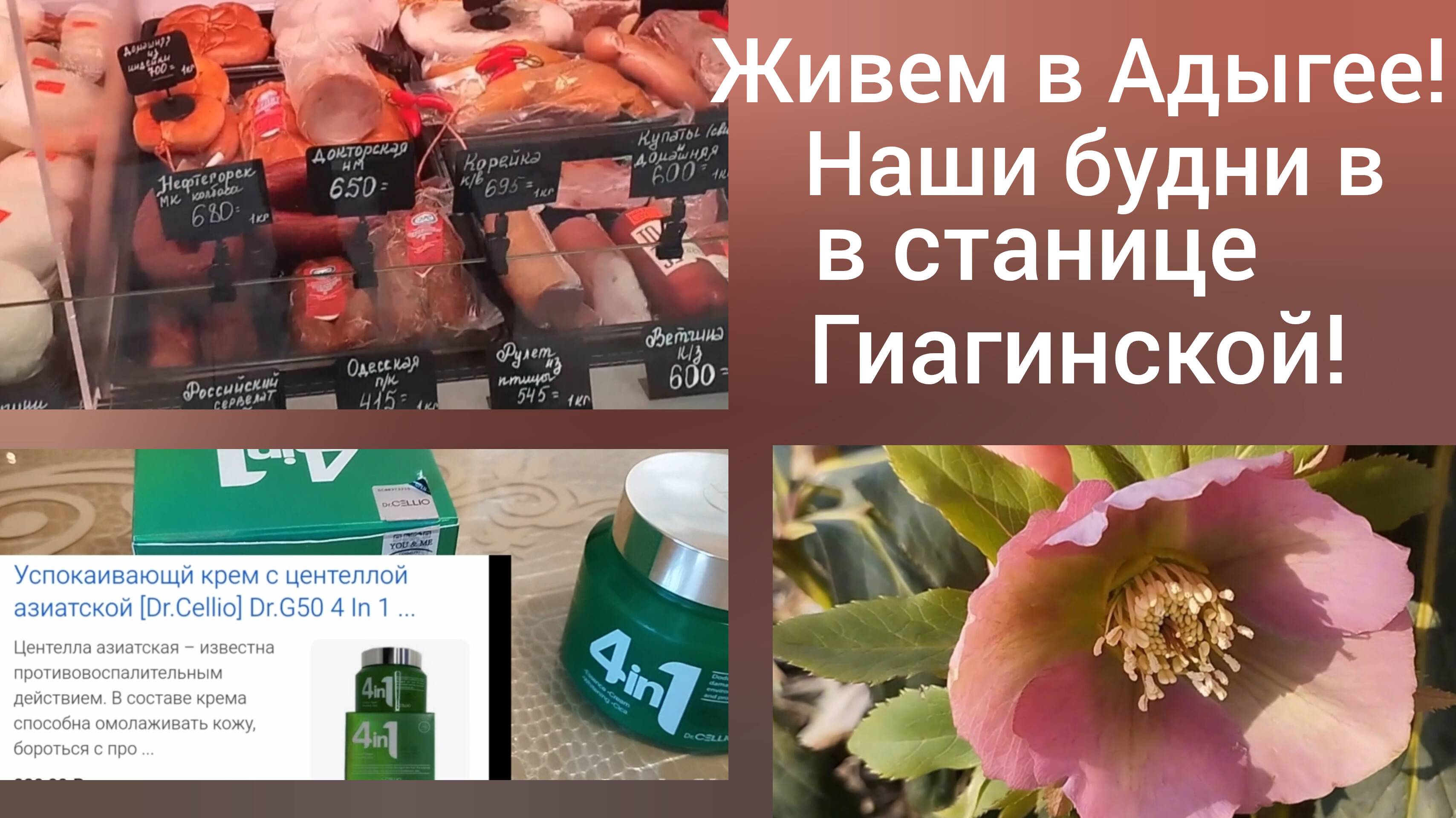 Переехали в Адыгею/ Живем в Гиагинской/Цена на куриное мясо/Сделала себе подарок/Зацвел морозник/