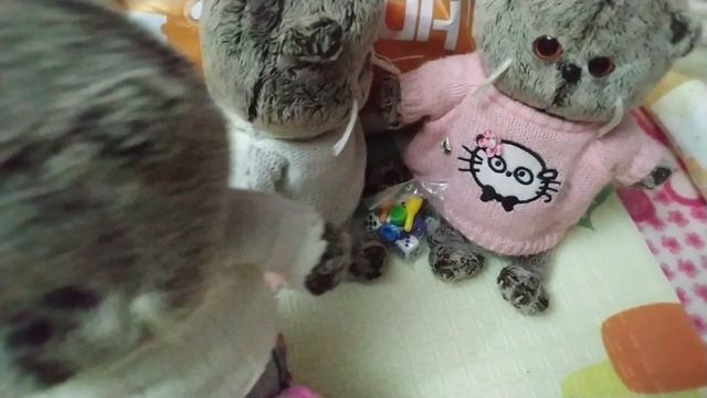 басикен обычный вечер🌜🐱🧡 смотреть онлайн