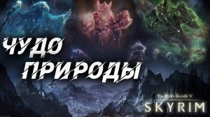 ЧУДО ПРИРОДЫ | Полное Прохождение | The Elder Scrolls V: Skyrim | #5