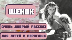 Щенок, или Очень важный поступок. Автор Николай Агафонов,читает Светлана Копылова.Интересная история
