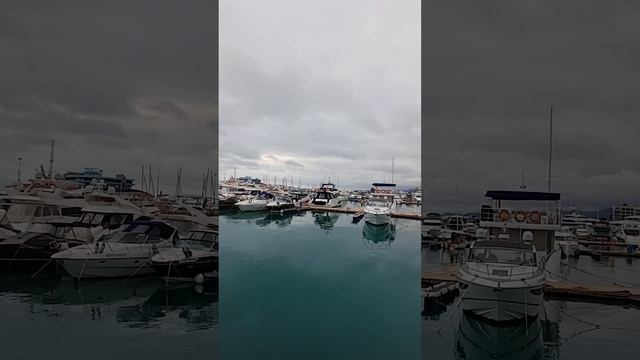 в порту 🛳️