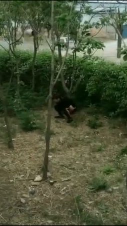 ВОТ как выглядит НЕВЕЗУХА (НЕПРУХА) #улетноевидео #смешно #шутники #приколы #юмор #шутки #юморина