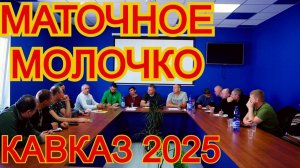 Зароившиеся пчелосемьи дают максимум маточного молочка - опыт В.Д. Шпака