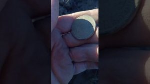 Приборный поиск в поле.