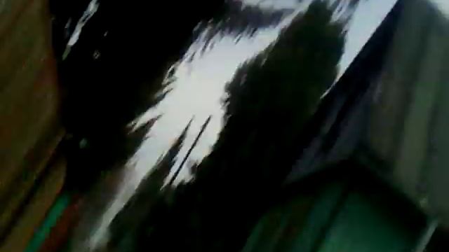 Загадочное существо#2 смотреть онлайн