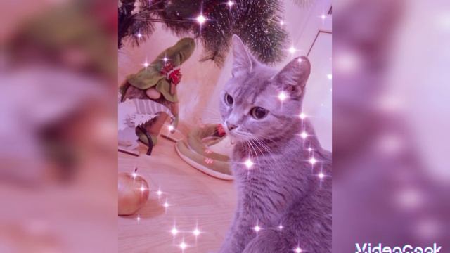 1000024607.mp4 смотреть онлайн