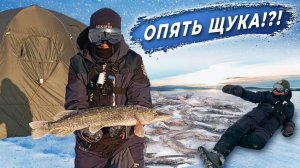 Бешеный клёв ЩУКИ | ОЗЕРО | РЫБАЛКА НА ЖЕРЛИЦЫ | НОЧЬ В ПАЛАТКЕ