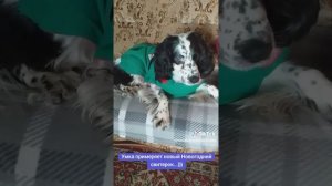 Примерка...)))
















Примерка...)))