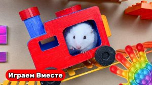 Хомяк выбирается из СЛОЖНОГО ЛАБИРИНТА С ЛОВУШКАМИ ! Умный Хомяк ! Видео для детей