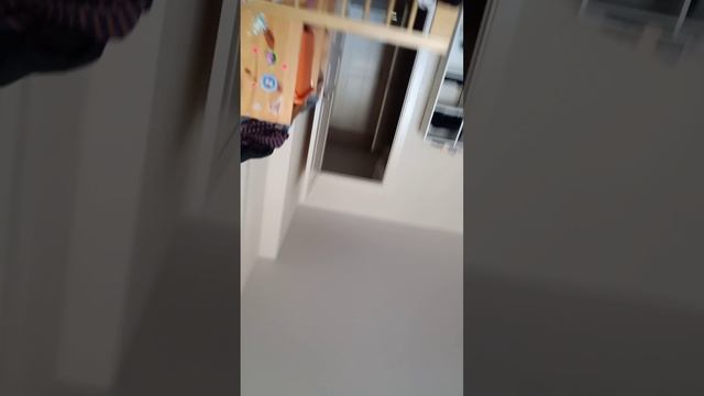 VID_2025