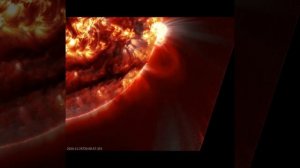 Гигантский протуберанец на Солнце, 25 ноября.