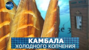 Камбала холодного копчения. Простой и быстрый рецепт. ФАВ Пищевое оборудование.