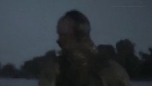 Стражы Днепра