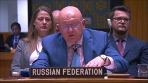 Statement by V.Nebenzia at UNSC Briefing on Threats to International Peace and Security by ISIL