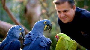 Спасти планету | Русский трейлер | Фильм 2022