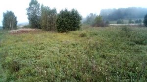 VID_20230827_093022.mp4