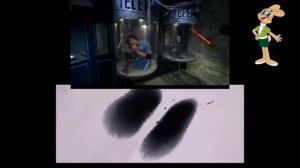 Анонс в титрах (Заяц ТВ, 21.10.2023)