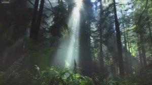 Сура 27 Муравьи