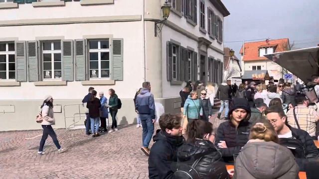 Mandelblütenfest  2024 Праздник цветения Миндального ореха