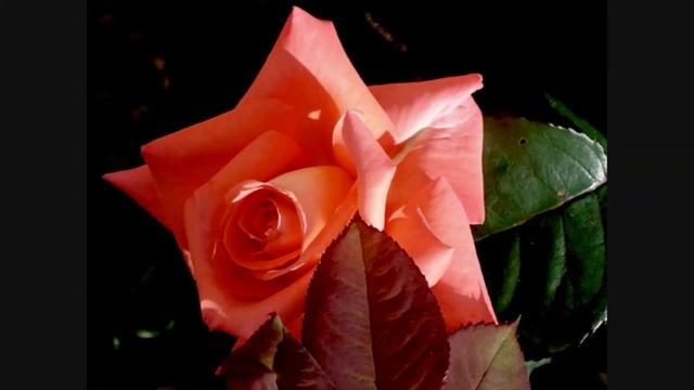 Любовь   разлука смотреть онлайн