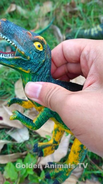 T-REX vs Spinosaurus, i-rex, Dimetron, Carnotaurus Dinosaur toys Jurassic world #shorts смотреть онлайн