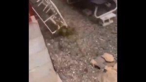 Лучшая подборка неудач🫣🥴