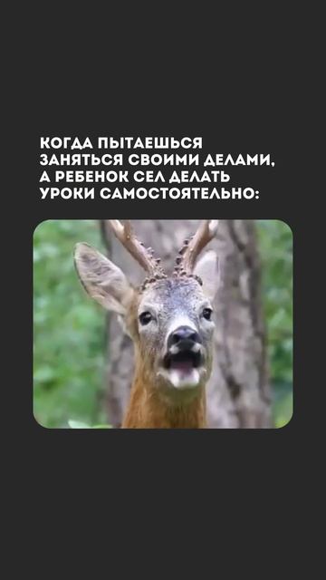 Первая международная кибершкола для детей #ITшкола #детскоеобразование #lTобучение