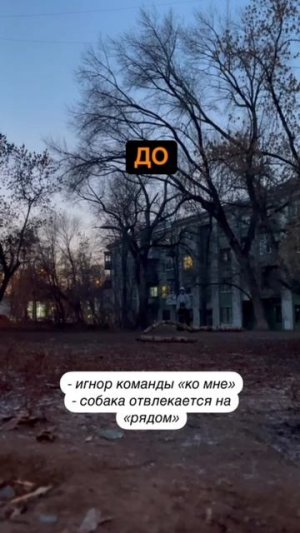 Отзыв с Программы | Настя и Крис