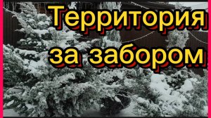 В такую погоду в лес бы, да на лыжах. ❄🎄