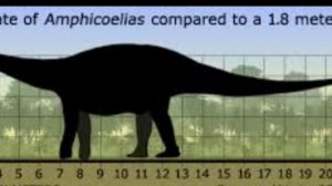 dinopedia:amphicoelias