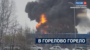 ВЕСТИ 24  Санкт-Петербург от 13.02.2025
