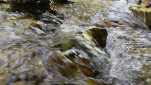 Мысхако, Геленджик