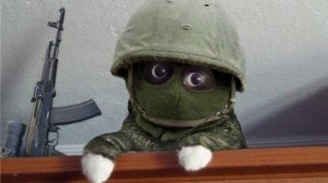 Трусливый Барсик. СВО