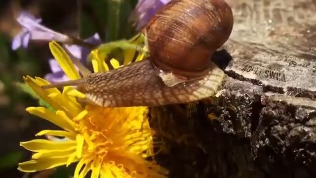 [AS BUMP] Zomby - Test Me For A Reason смотреть онлайн