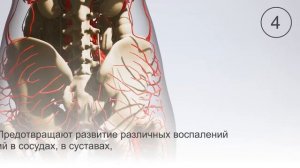 Биота полезные свойства