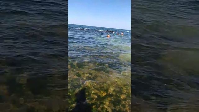 На Саакашвили смотреть онлайн