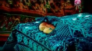 гр.Фируз модар ох модар