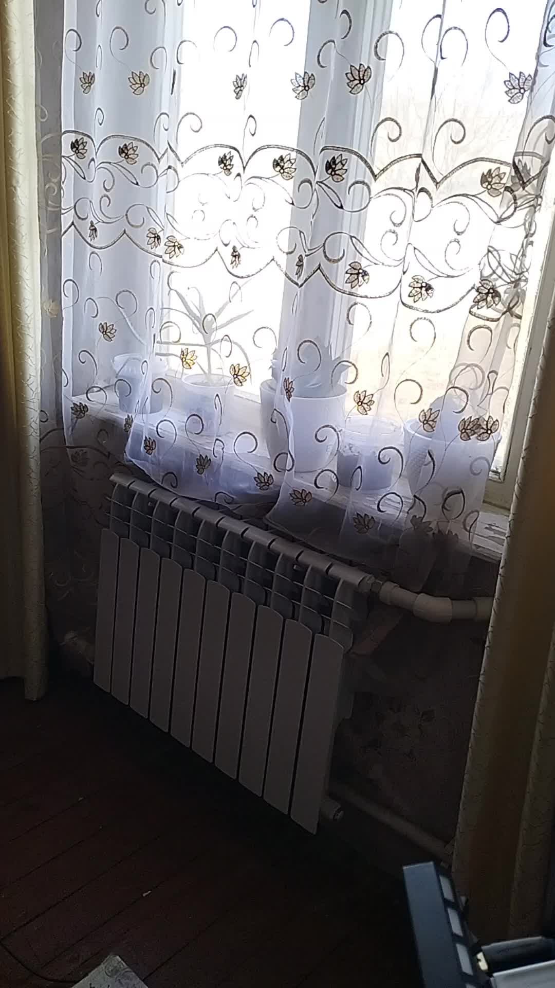 песни к 23 февраля
