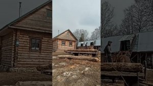 Погрузка крупных брёвен на телегу рабочей парой лошадей