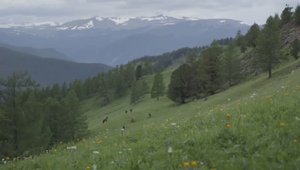 Счастливые_Люди_-_АЛ...11_13._5