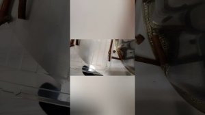 Укореняю черенки винограда