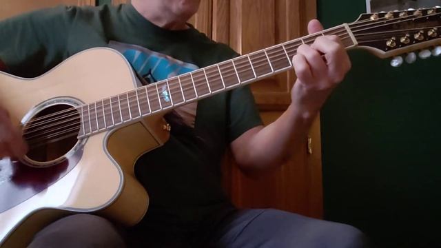 Takamine 12-String Acoustic-Electric Guitar