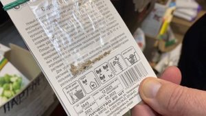 На что обратить внимание при выборе семян?