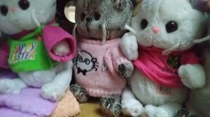 румтур на секретную комнату басика🏠🩶 просто басик