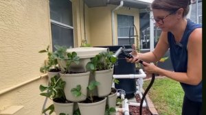 5 советов по выращиванию клубники 🍓