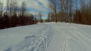 Новодвинский парк отдыха19г